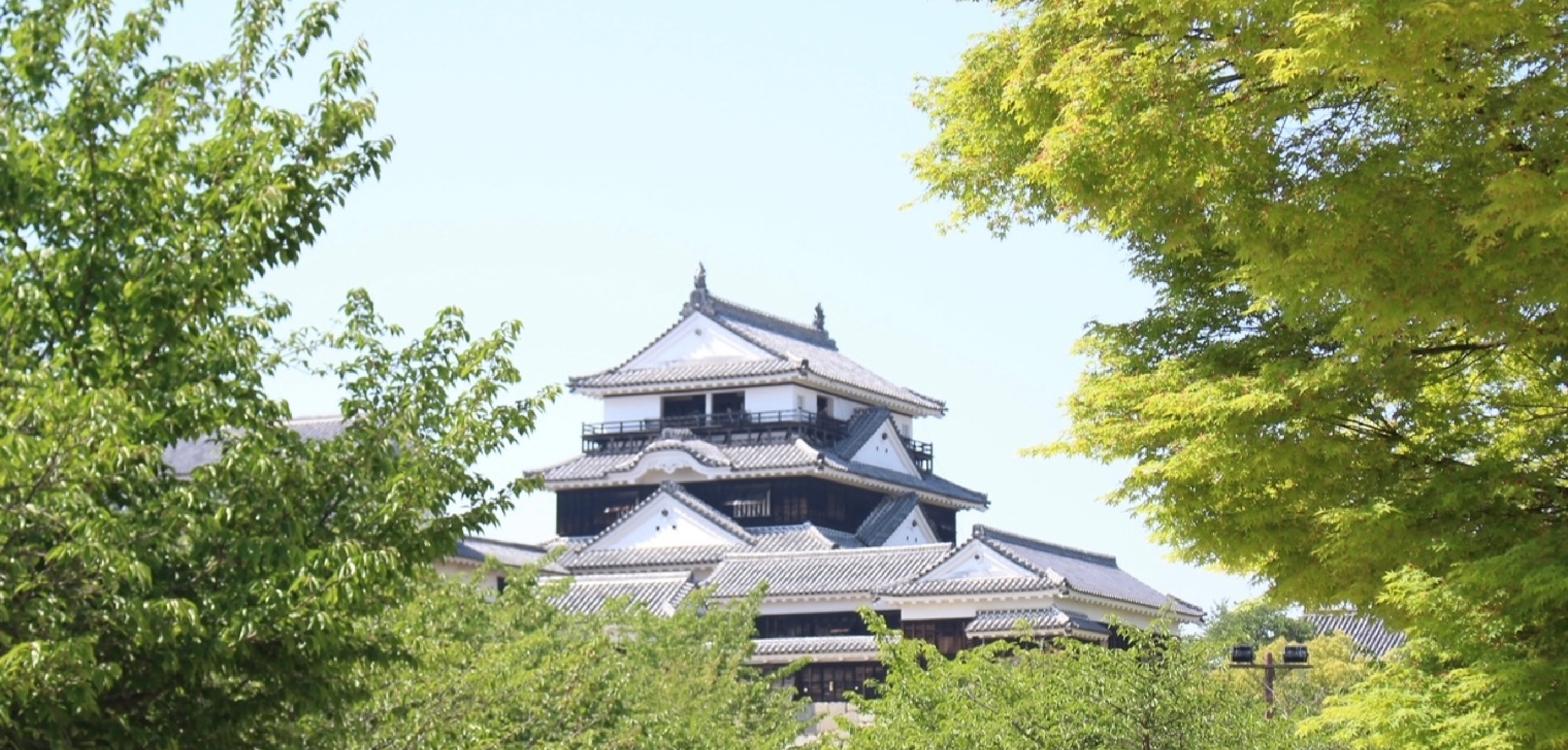 青空を背景にして木々に囲まれた松山城