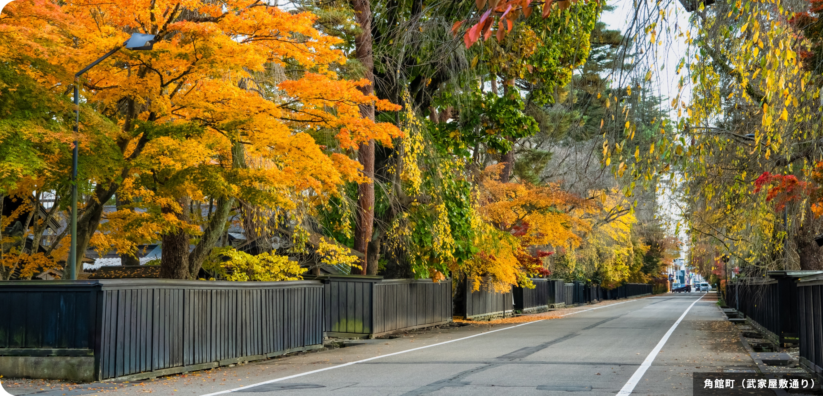 角館町（武家屋敷通り）