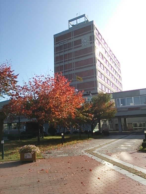 色づき始めた街路樹と旭川市総合庁舎