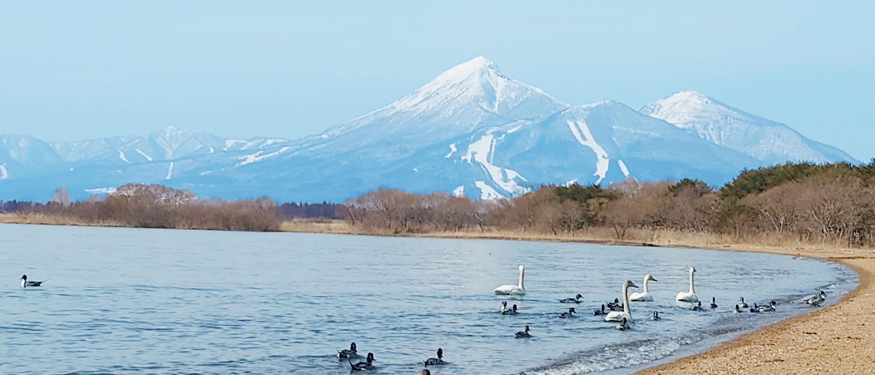 磐梯山と猪苗代湖の風景
