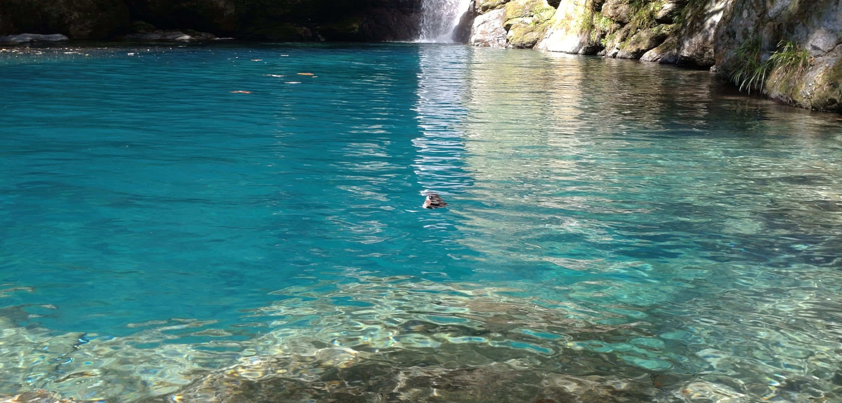 にこ淵の風景