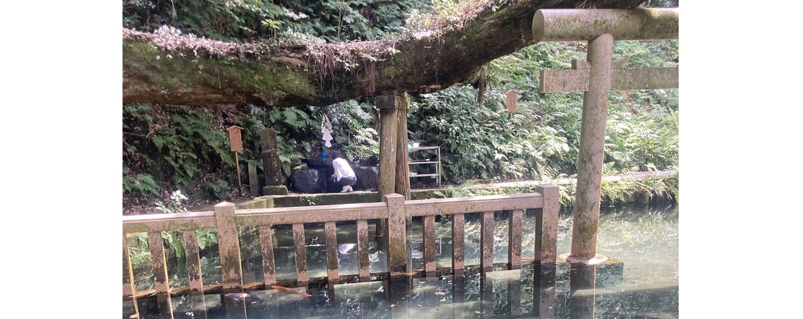 鹿島神宮御手洗池の写真