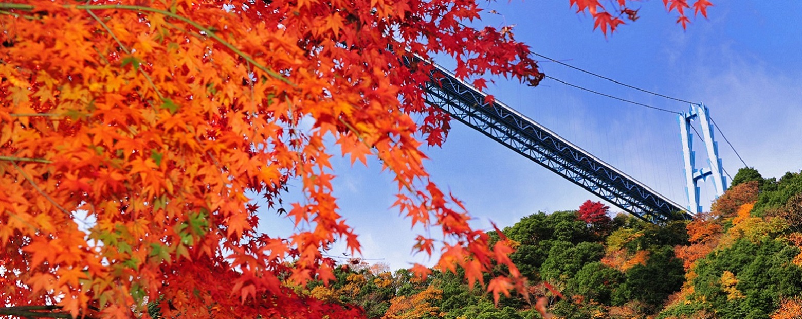 竜神峡大吊橋の写真