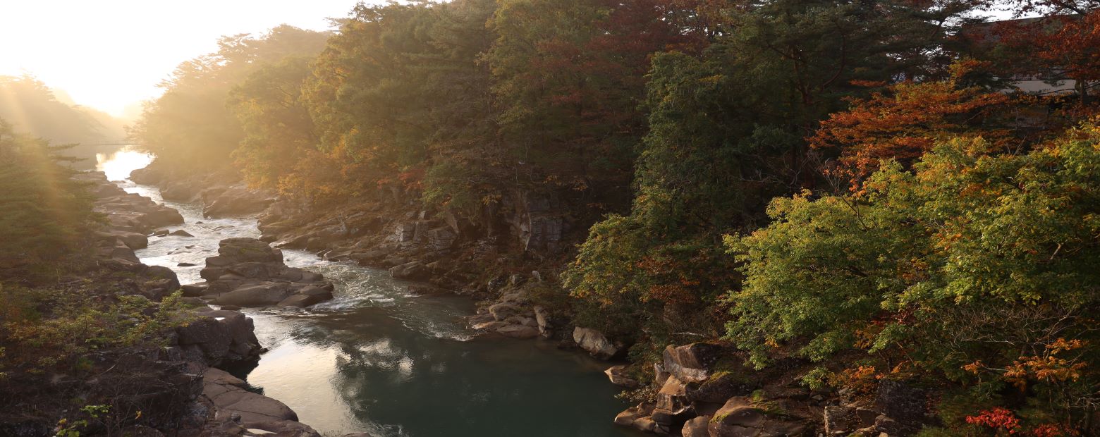 秋の厳美渓(一関市)