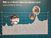 季節ごとにお札の出回る量を棒グラフで示したパネルの写真