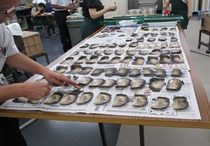 焼けたお札の引換風景の写真